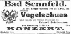 Anzeige aus dem Schweinfurter Tagblatt vom 22.06.1912